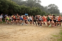 2011 BayXC-231